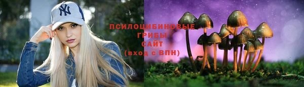 СК Армянск