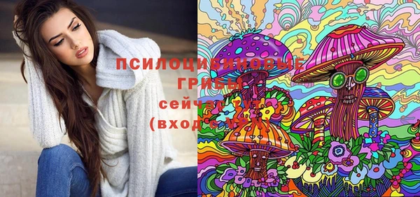 СК Армянск