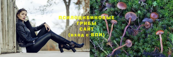 МДМА Арсеньев