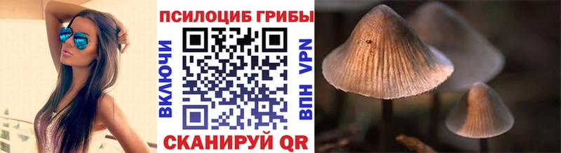 Псилоцибиновые грибы Psilocybe  Снежинск 